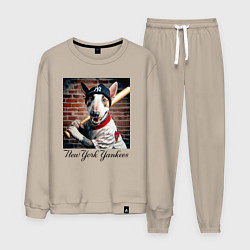 Мужской костюм Bull terrier - New York yankees baseball team