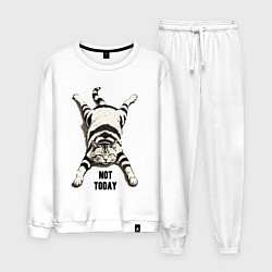 Мужской костюм Ленивый кот - not today