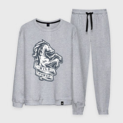 Мужской костюм Мустанг - дикая энергия