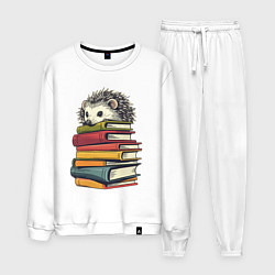 Мужской костюм Ёжик на книгах