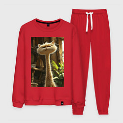Костюм хлопковый мужской Кот с длинной шеей, цвет: красный