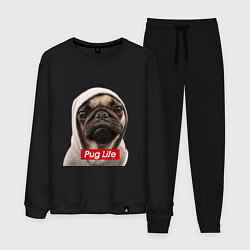 Костюм хлопковый мужской Pug life, цвет: черный