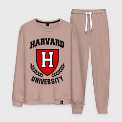 Мужской костюм Harvard University