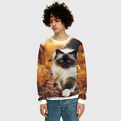 Свитшот мужской Котик в листьях, цвет: 3D-белый — фото 2
