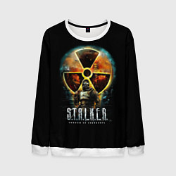 Свитшот мужской STALKER: Shadow of Chernobyl, цвет: 3D-белый