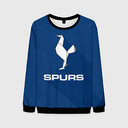Свитшот мужской Tottenham Spurs, цвет: 3D-черный