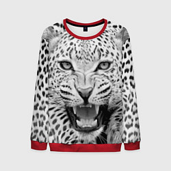 Свитшот мужской Белый леопард, цвет: 3D-красный