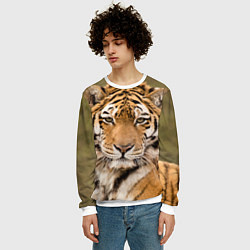 Свитшот мужской Милый тигр, цвет: 3D-белый — фото 2