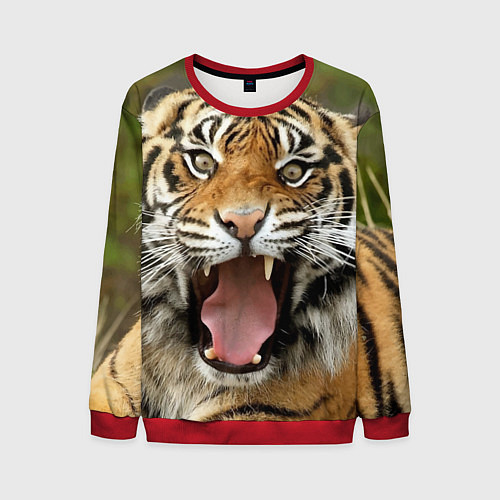 Мужской свитшот Удивленный тигр / 3D-Красный – фото 1