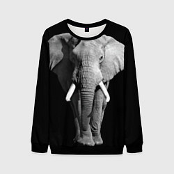 Свитшот мужской Старый слон, цвет: 3D-черный