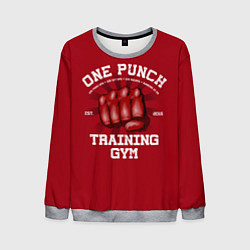 Мужской свитшот One Punch Gym