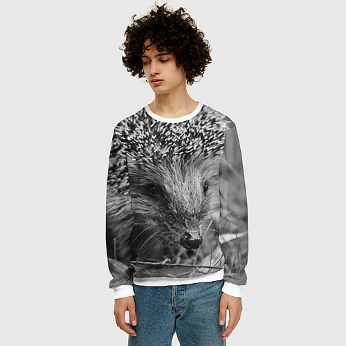 Мужской свитшот Взгляд ёжика / 3D-Белый – фото 3