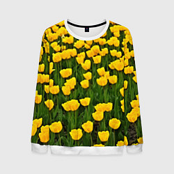 Свитшот мужской Жёлтые тюльпаны, цвет: 3D-белый