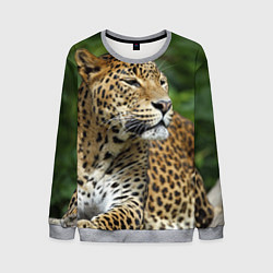 Свитшот мужской Лик леопарда, цвет: 3D-меланж