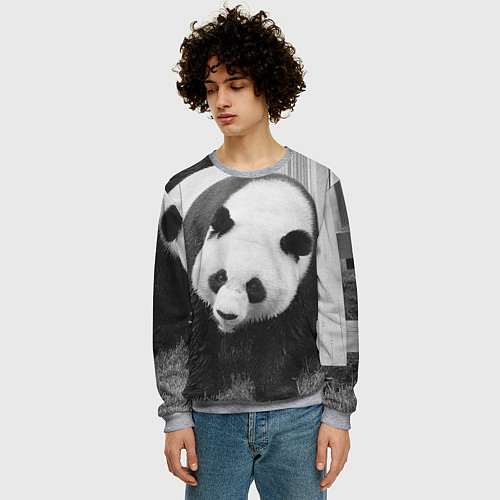 Мужской свитшот Большая панда / 3D-Меланж – фото 3