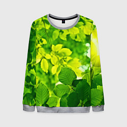 Свитшот мужской Зелёные листья, цвет: 3D-меланж