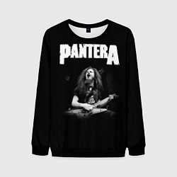 Свитшот мужской Pantera, цвет: 3D-черный