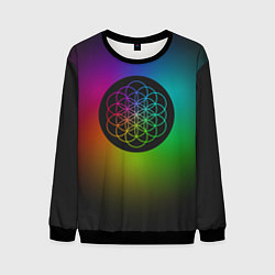 Свитшот мужской Coldplay Colour, цвет: 3D-черный