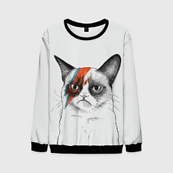 Свитшот мужской David Bowie: Grumpy cat, цвет: 3D-черный