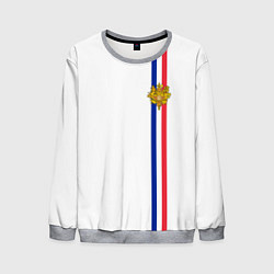 Свитшот мужской Франция: лента с гербом, цвет: 3D-меланж