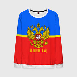 Свитшот мужской Калининград: Россия, цвет: 3D-белый