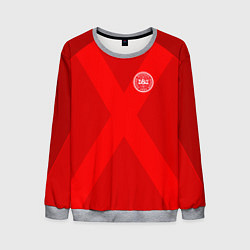 Свитшот мужской Denmark Team WC 2018, цвет: 3D-меланж