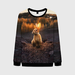 Мужской свитшот Солнечный зайчик