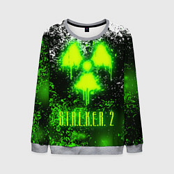 Свитшот мужской S T A L K E R 2, цвет: 3D-меланж