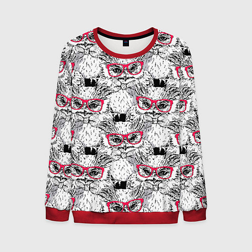 Мужской свитшот Совы в очках / 3D-Красный – фото 1