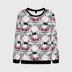 Мужской свитшот Совы в очках