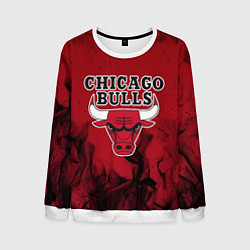 Свитшот мужской CHICAGO BULLS, цвет: 3D-белый
