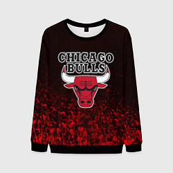 Свитшот мужской CHICAGO BULLS, цвет: 3D-черный