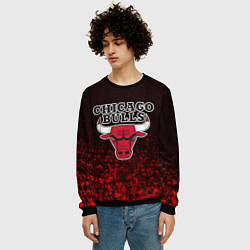 Свитшот мужской CHICAGO BULLS, цвет: 3D-черный — фото 2