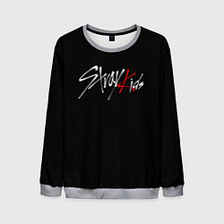 Свитшот мужской STRAY KIDS, цвет: 3D-меланж