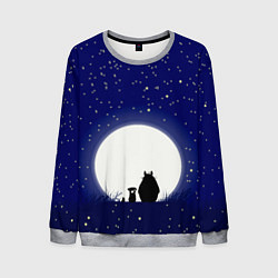 Мужской свитшот Мой сосед Тоторо