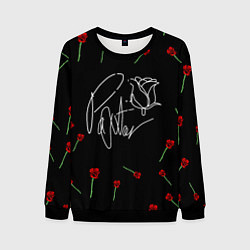 Свитшот мужской Payton Moormeier, цвет: 3D-черный