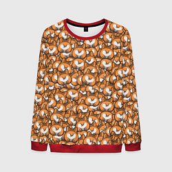 Мужской свитшот Попки Корги