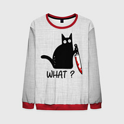 Мужской свитшот What cat