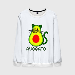 Мужской свитшот AVOGATO