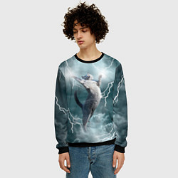 Свитшот мужской Грозовой кошак, цвет: 3D-черный — фото 2
