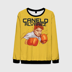 Свитшот мужской Canelo Alvarez, цвет: 3D-черный