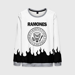 Свитшот мужской RAMONES, цвет: 3D-меланж