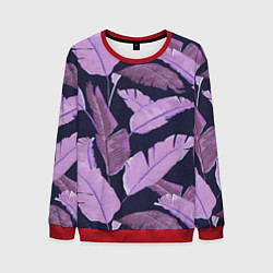 Свитшот мужской Tropical leaves 4 purple, цвет: 3D-красный