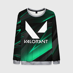 Свитшот мужской VALORANT, цвет: 3D-меланж