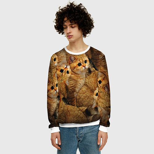 Мужской свитшот КОТЯТУШКИ / 3D-Белый – фото 3