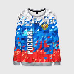 Мужской свитшот RUSSIA SPORT
