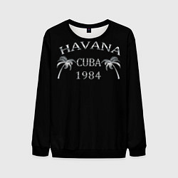 Свитшот мужской Havana, цвет: 3D-черный