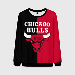 Свитшот мужской Чикаго Буллз, цвет: 3D-черный