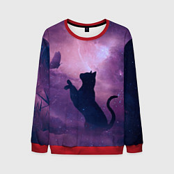 Свитшот мужской Star Cat, цвет: 3D-красный