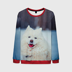 Свитшот мужской САМОЕД, цвет: 3D-красный
